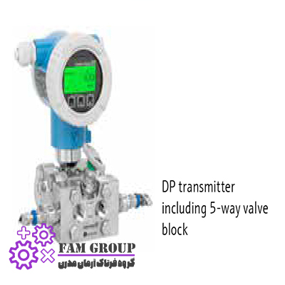 Endress Hauser DP transmitter including 5-way valve Block